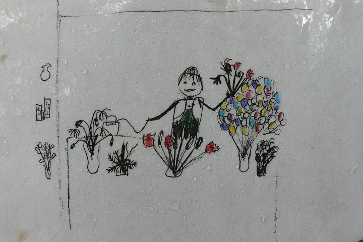 Bild