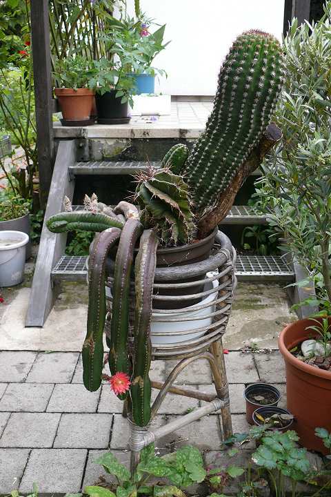 Bild