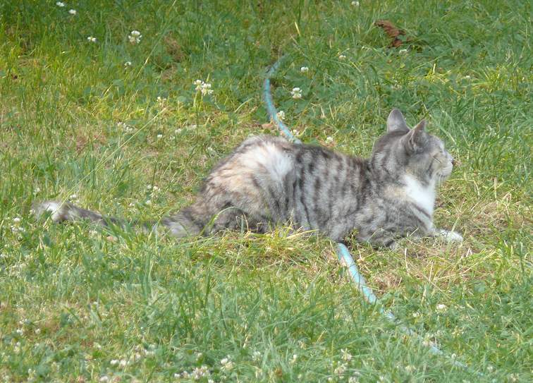 Bild