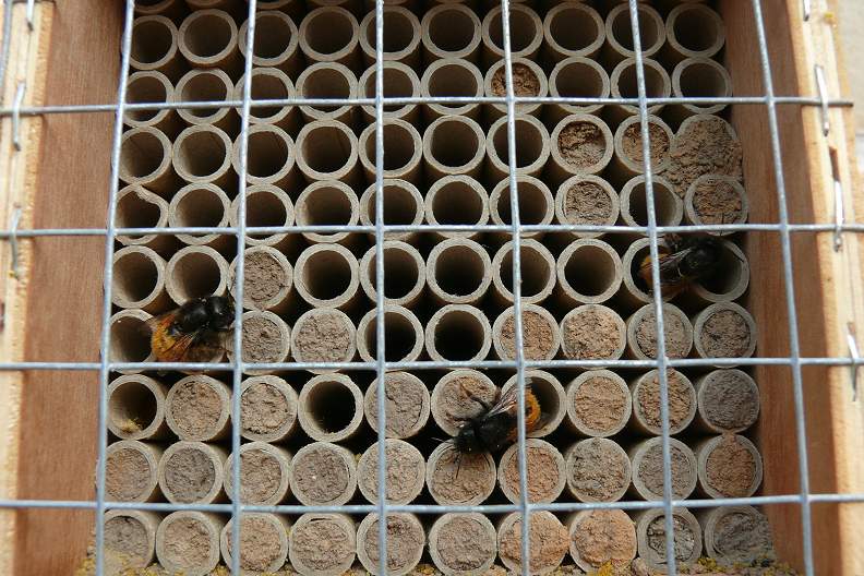 Bild